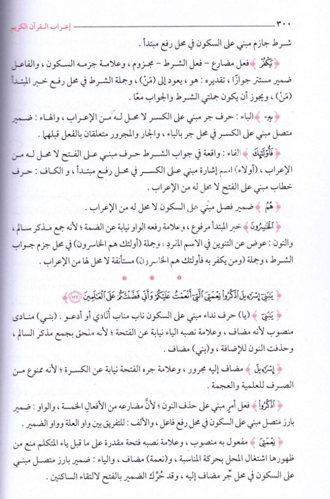 İrabul Kuranil Kerim ve Beyanu Maanihi 1-12 / إعراب القرآن الكريم وبيان معانيه 1-12