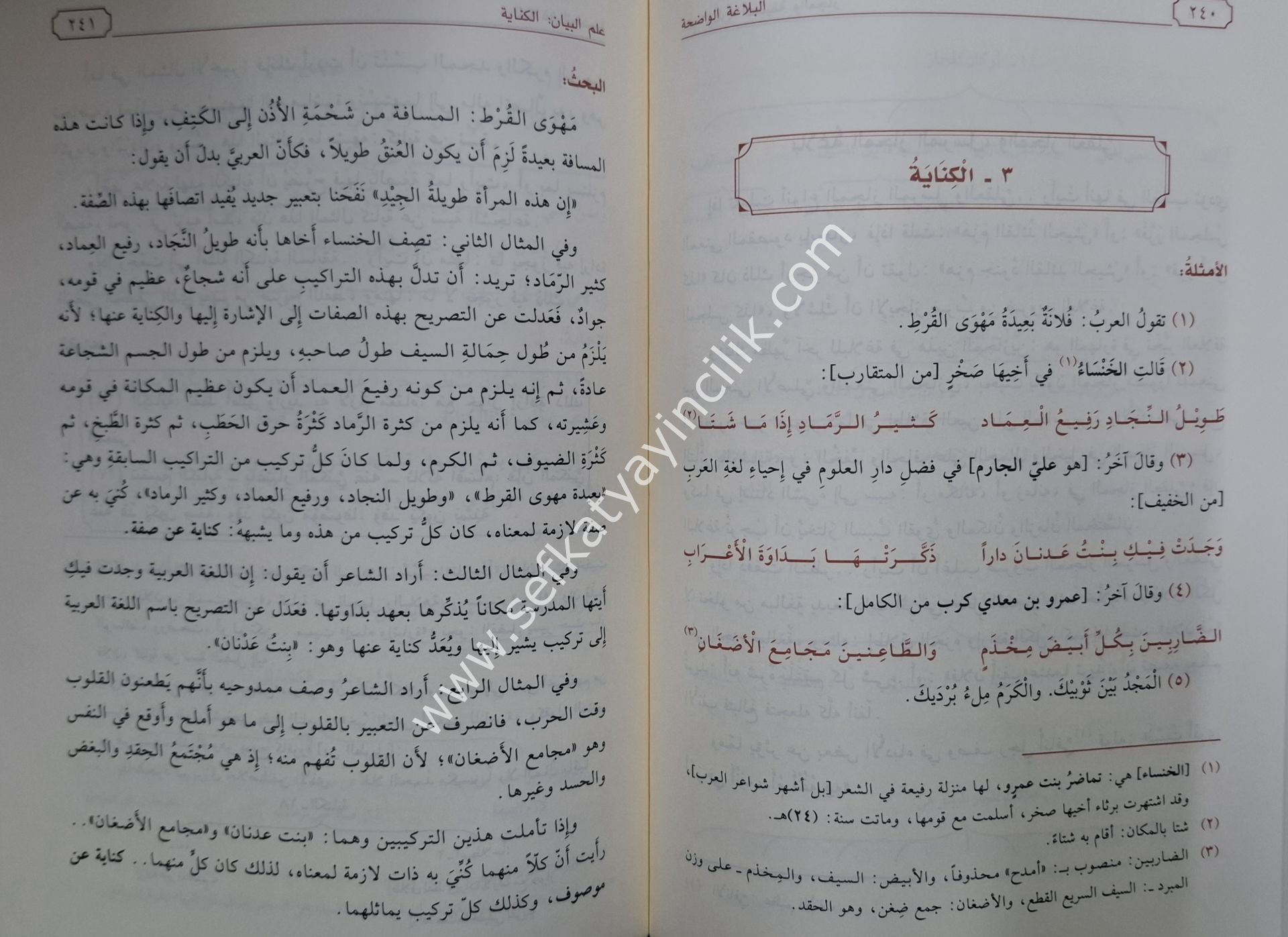 El Belağatul Vadıha Fi El Beyan Vel Meani Vel Be'di ve yelihyi Delilul Belağatiil Vadıha / البلاغة الواضحة في البيان والمعاني والبديع ويليه دليل البلاغة الواضحة  - شموا - لونان