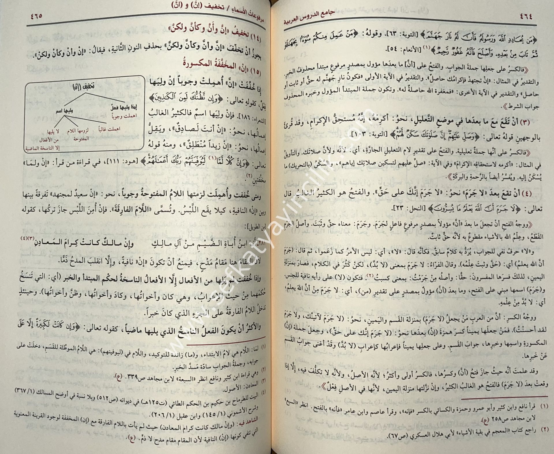 Camiud Durusil Arabiyye Müzeyyelen Bi Bahsil Belağa vel Arud / جامع الدروس العربية مذيلا ببحثي البلاغة والعروض